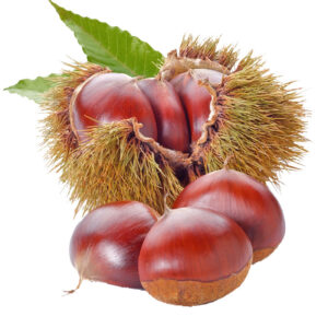 castagne